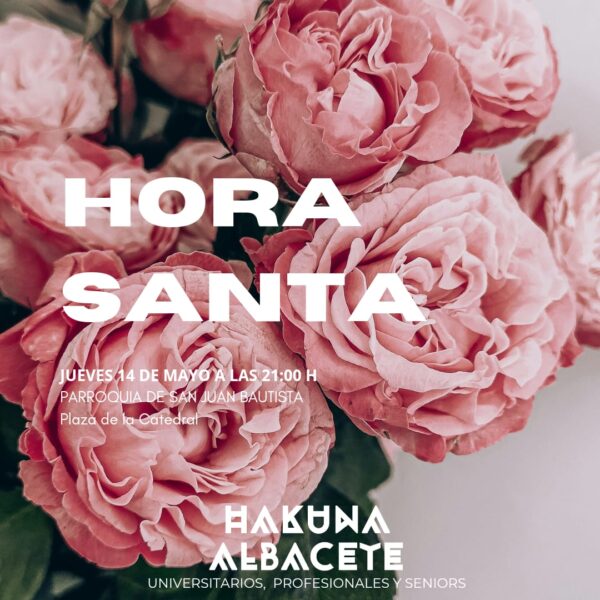 Próximas Horas Santas